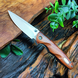 Vendita calda da campeggio portatile Mini coltello pieghevole in acciaio inox con manico in legno coltelli da sopravvivenza strumento EDC - Product Image 2