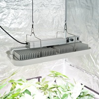 Geavanceerde 800W instelbare spectrum LED kweeklampen voor verbeterde roosgroei in kas- en tuinbouwverlichting