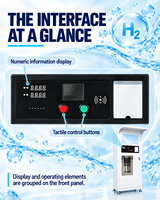 Distributeur d'eau riche en hydrogène pour l'extérieur avec purification, stockage et infusion d'H2 à la demande pour les espaces publics