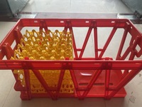 Caisse à œufs en polypropylène recyclable, capacité 30 œufs, empilable, pour élevage de poulets, poulailler