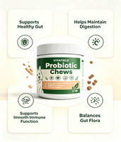 VITAFIELD OEM ODM Probiotiques pour chiens sous forme de friandises molles sans céréales, absorption rapide, équilibre de la flore intestinale et santé immunitaire pour toutes les races de chiens