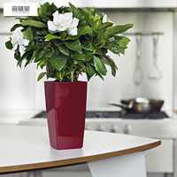 Mini Pot de plantes en plastique à arrosage automatique, Pot de fleurs décoratif moderne/boîte de fenêtre pour toutes les plantes de maison, fleurs