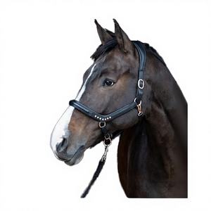 Fanfaree Factory - Collar de Cuero para Caballo, Estilo Inglés, Personalizado, al por Mayor, para Equipo de Equitación - Product Image 1