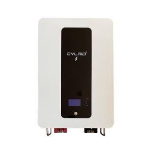 10kW <b>48V</b> 200Ah Wall-Mounted LiFePO4 <b>Battery</b> With IP65 Protection CAN Communication Hybrid Grid Support 6000 Cycle Life CYLAID-01 - Product Image 2