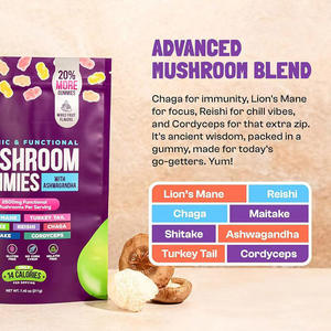 Fudge al Fungo Criniera di Leone OEM con Ganoderma Biologico, <span class=keywords><strong>Cordyceps</strong></span> e Fungo Chaga - Product Image 2