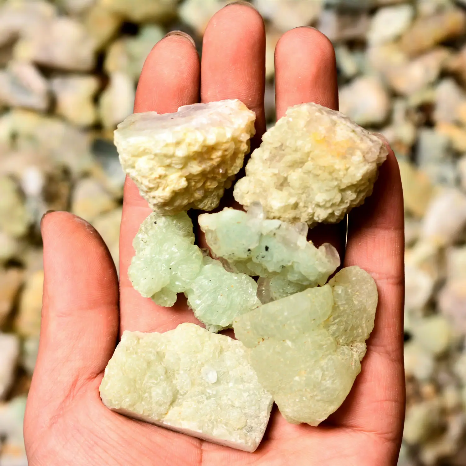 Prehnite cristallo quarzo grezzo chakra piedra di alta qualità guarigione pietre burattate