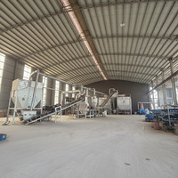 Usine de granulés de biomasse à base de coque de noix de coco avec moule annulaire, conception personnalisée, ligne de production de granulés de bois 1-5t/h, projet clé en main complet