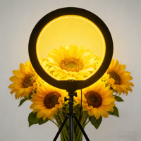 Qiniu Anneau lumineux photographique de 6 pouces, lumière vidéo personnalisée, anneau lumineux LED pour selfie, trépied, contrôle par fil, 14 cm, ABS