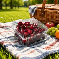 Boîte d'emballage pour fruits en plastique PET transparent, écologique, jetable, 32 oz, pour emporter, à clapet