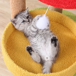 Rak Panjat Kucing Desain Baru Motif Stroberi, Tiang Garukan Kucing dari Sisal, Platform Lompat Bertingkat, Mainan Kucing Harga Murah - Product Image 4