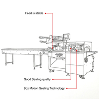 Système d'emballage horizontal entièrement automatique SZ-750W pour usine industrielle d'aliments surgelés avec machine d'emballage de rouleaux de printemps en plateau