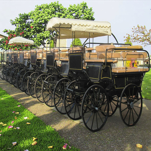 Maratón turístico, carruaje tirado por caballos - Product Image 6