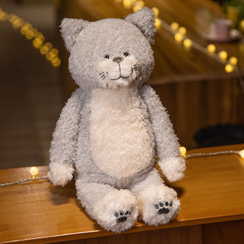 แมวจิมมี่สีเทา