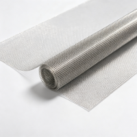 Maille tressée en fil d'acier galvanisé 304 201, tissage uni/twill, moustiquaire anti-poussière/anti-insectes argentée pour fenêtre