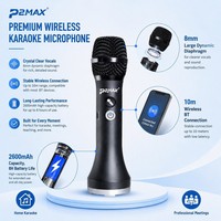 Système de microphone sans fil professionnel ODM à 2 canaux avec suppression du bruit pour karaoké
