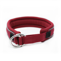Collier pour chien personnalisé en gros, de luxe, de qualité supérieure, rembourré en mousse, réfléchissant, en nylon, à enfiler