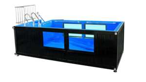 Conteneur extérieur magique Sinoy de 20 pieds avec terrasse, piscines conteneurs, piscines avec spa - Product Image 3