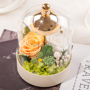 Fleurs conservées dans un dôme abat-jour en <span class=keywords><strong>verre</strong></span> amovible Dimmable Led <span class=keywords><strong>lampe</strong></span> <span class=keywords><strong>de</strong></span> Table pour la décoration intérieure charge <span class=keywords><strong>lampe</strong></span> <span class=keywords><strong>de</strong></span> Table fleur éternelle - Product Image 5
