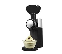 Hot Selling Classic Vegan Niet-Zuivel Bevroren Fruit Zachte Dienen Dessert Maker Huishoudelijke Automatische Fruit Ijs