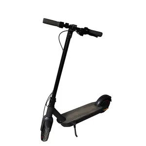 Electric Factory Price Off Road 6.6Ah 36V/350W Electric Scooter Adults For Sale