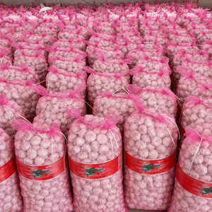 Nuevo Ajo Blanco Puro y Ajo Blanco Regular Lanzado en 2026, Suministrado por Exportadores Profesionales de Ajo Chino - Product Image 2