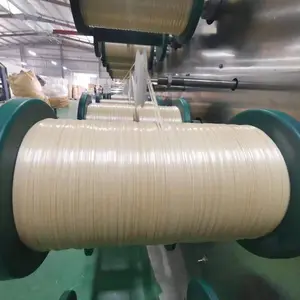 Machine d'extrudeuse Danline PP Offre Spéciale Machine de fabrication de fil plat en fibre de corde en plastique