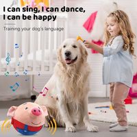 Haute qualité électronique chien interactif chien jouet dessin animé cochon jouet animal de compagnie en peluche balle sautante peut imiter son jouet