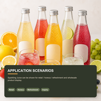 Sprankelende fruitsapmonsters, diverse smaken, kant-en-klaar, 200ml, lage minimale bestelhoeveelheid beschikbaar