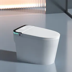 Buzzworthy Product One-piece Smart Toilet With Warm Cover Seat Smart Toilet For Bathroom