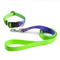 Ensemble collier et laisse pour chien imprimé par sublimation, nylon réglable avec boucle à dégagement rapide pour chiens de petite, moyenne et grande taille