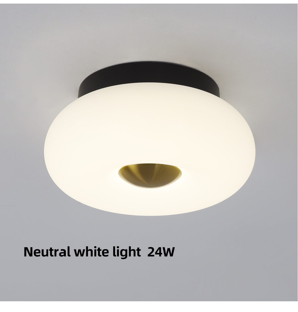 Modern Popular 3 Color changeable Round Led Ceiling Light 12w 24w PE Lamp For North Europe