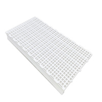 Palette de sol en plastique simple face Planche de ponte de poulet pour poulailler pour lapin Pigeon canard oie pour tapis de sol