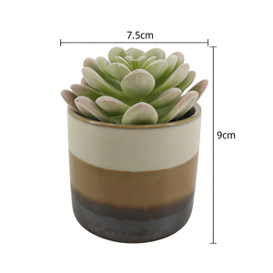 Suculentas Artificiales <span class=keywords><strong>de</strong></span> <span class=keywords><strong>Echeveria</strong></span> Lotus, Pequeñas Plantas Artificiales con Tacto Real, Plantas Suculentas <span class=keywords><strong>de</strong></span> Lotus Simuladas para el Hogar - Product Image 3