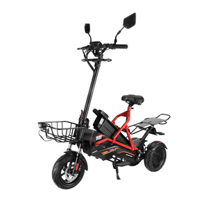 Scooter Eléctrico Fasuer Pass EEC OEM de 3 Ruedas, 48V23.4Ah, Motor Dual, para Adultos - Product Image 2