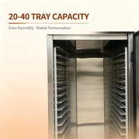 Armoire de fermentation professionnelle en acier inoxydable pour 18 à 40 plateaux, avec système de pulvérisation, pour pains et pâtons
