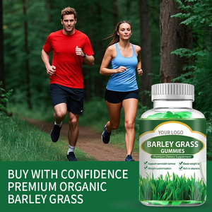 Integratore alimentare gommoso estratto <span class=keywords><strong>di</strong></span> semi <span class=keywords><strong>d</strong></span>'erba <span class=keywords><strong>d</strong></span>'<span class=keywords><strong>orzo</strong></span> integratore Supergreens vitamina Gummies - Product Image 4