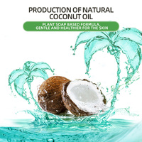 Chine Fabricants OEM Lessive en poudre Détergent et Lessive en poudre de l'usine Poudre à laver Camélia