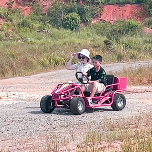 Tùy chỉnh 1-2 chỗ ngồi điện off road đi giỏ tham quan <span class=keywords><strong>DIY</strong></span> đi <span class=keywords><strong>Kart</strong></span> để bán - Product Image 6