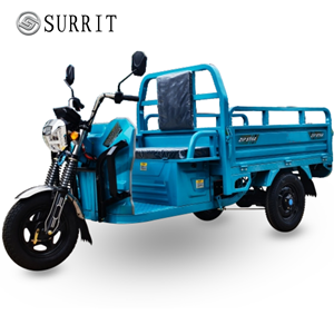 Tricycle électrique de transport à trois roues, véhicule utilitaire à plateau ouvert pour livraison agricole - Product Image 1