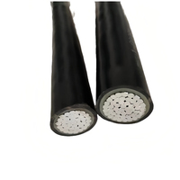 Cable de aluminio de bajo voltaje 1kV 3kV Cable de alimentación con revestimiento de PVC aislado XLPE de un solo Core16-300mm al por mayor