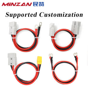 Câble de raccordement de batterie au lithium DC pour voiture OEM 25mm 35mm 2 3 4 5 6 AWG Câble de connexion d'alimentation en silicone avec cosse de <span class=keywords><strong>borne</strong></span> à anneau M8 - Product Image 2
