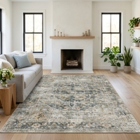 Tapis persan personnalisé lavable, tapis de sol doux, tapis d'appoint imprimé pour salon