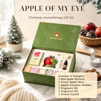 Coffret Cadeau Aromathérapie Pomme FANDOOS – Chauffe-Bougie de Noël, Cire Parfumée, Huile Aromatique, Cristal Parfumé, Boîte Cadeau