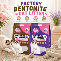 Litière pour chat en bentonite écologique, 99 % sans poussière, contrôle des odeurs, agglomération rapide, pour commandes en gros auprès du fabricant direct