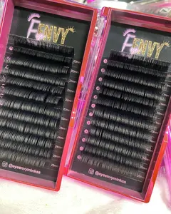 easy fan eyelash extentions 8-25mm length individual eyelash kit pesta as pelo a pelo 3D 10D cluster eyelashes private label