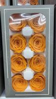 Tête de fleur naturelle de 4-5 cm, rose éternelle préservée, rose séchée pour la fête des mères, la Saint-Valentin, la remise des diplômes, le Nouvel An et autres occasions