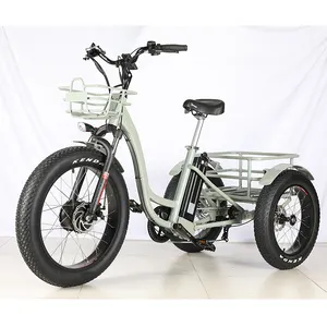 Trike จักรยานไฟฟ้าล้อแม็กอลูมิเนียมอัลลอยด์,กรอบ48V 500W 750W ล้อหน้ามอเตอร์เกียร์จักรยานขนส่งสินค้าไฟฟ้าจักรยานไขมัน