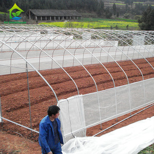 Invernadero de túnel agrícola, invernadero de <span class=keywords><strong>caracol</strong></span>, comercial, Ghana - Product Image 2