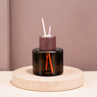 Haut-parleur Bluetooth intelligent pliable et portable pour fêtes, maison et bureau avec réduction de bruit et son HD, et capuchon diffuseur de parfum