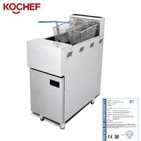 Friteuse professionnelle à gaz propane en acier inoxydable 32L pour frites, équipement de friture profonde au gaz